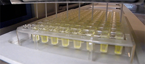 IBPC Cristallography Core Facility