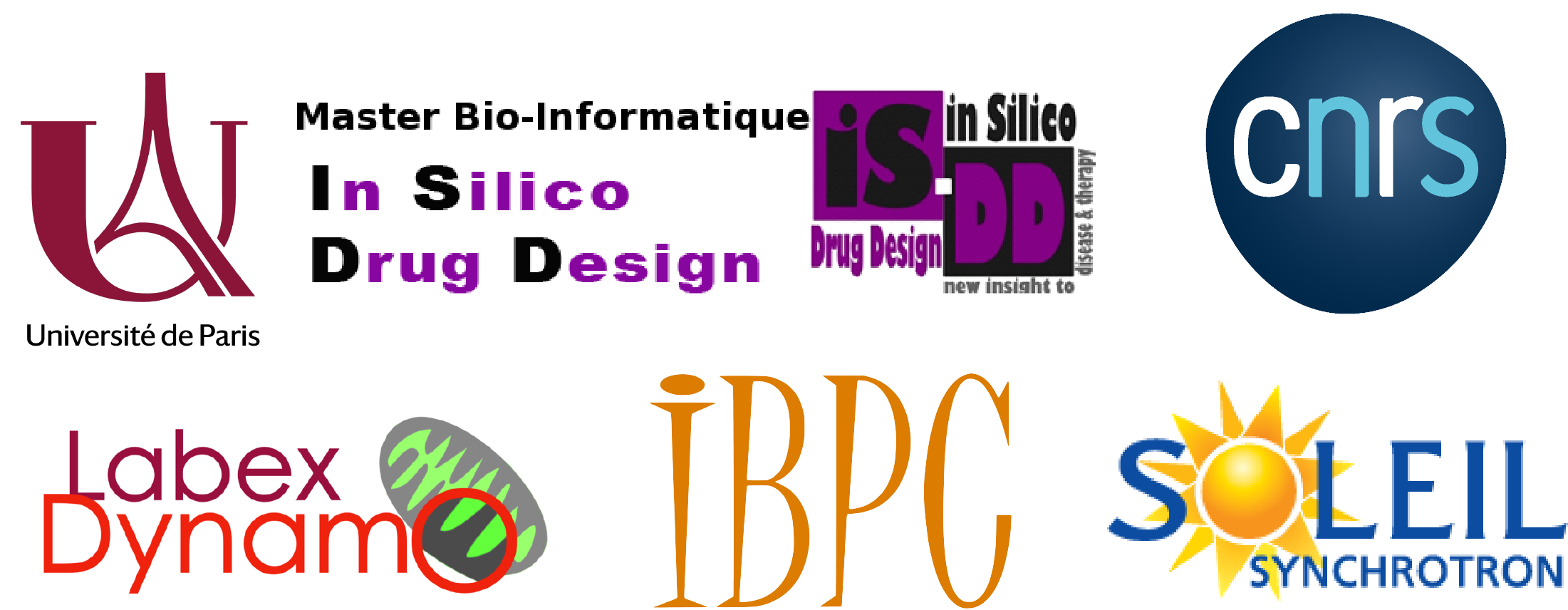 Read more about the article Structural Biochemistry Course