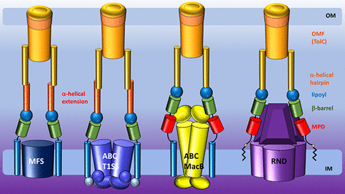 Read more about the article Chemical Reviews publication