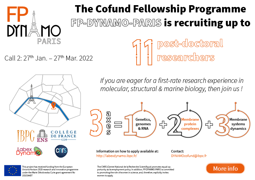 Read more about the article Apply for FP-DYNAMO-PARIS FELLOWSHIP PROGRAMME CALL2