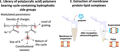 Read more about the article Analytical Chemistry Publication