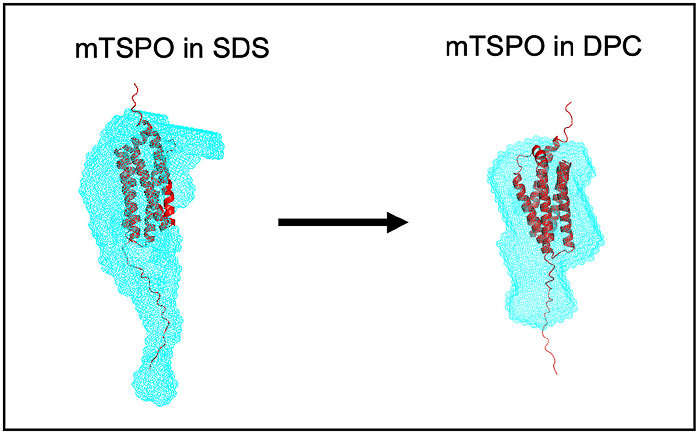 Read more about the article Biochimie Publication