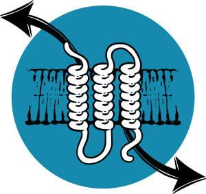 Membrane proteins in their lipid membranes