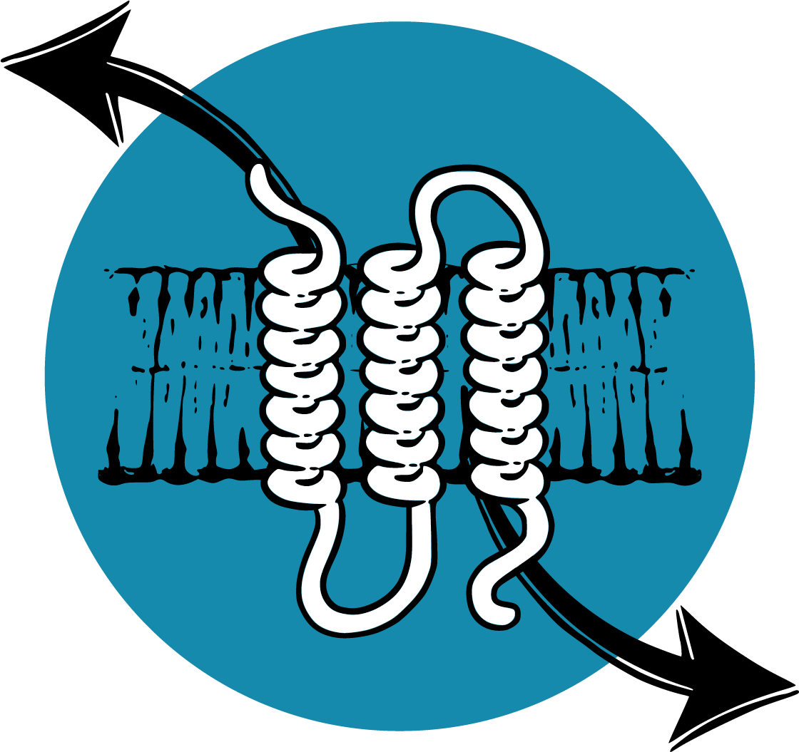 Membrane proteins in their lipid membranes