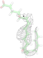 receptor bound state