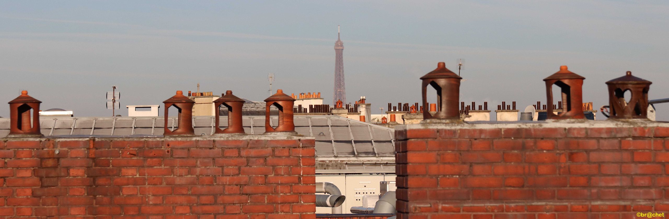 Read more about the article IBPC’s website has evolved !